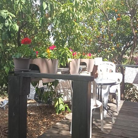 A Fun Holiday In The Galilee Sede Eli'ezer Extérieur photo