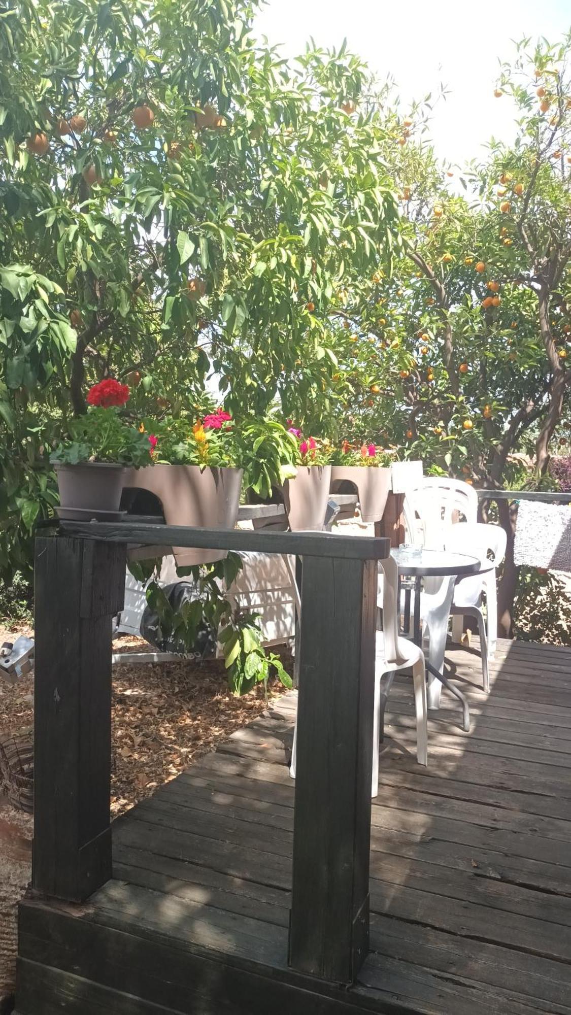 A Fun Holiday In The Galilee Sede Eli'ezer Extérieur photo